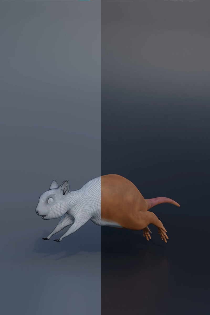 National Math Achievement